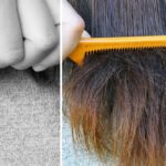 How to Take Care of Your Wigs: The Ultimate Guide